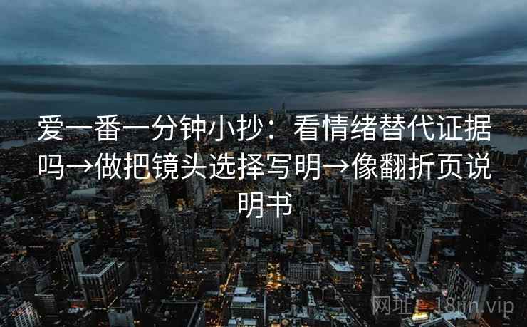 爱一番一分钟小抄：看情绪替代证据吗→做把镜头选择写明→像翻折页说明书