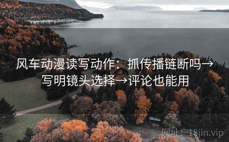 风车动漫读写动作：抓传播链断吗→写明镜头选择→评论也能用